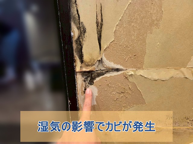湿気の影響で固定戸の壁紙下地にカビが発生